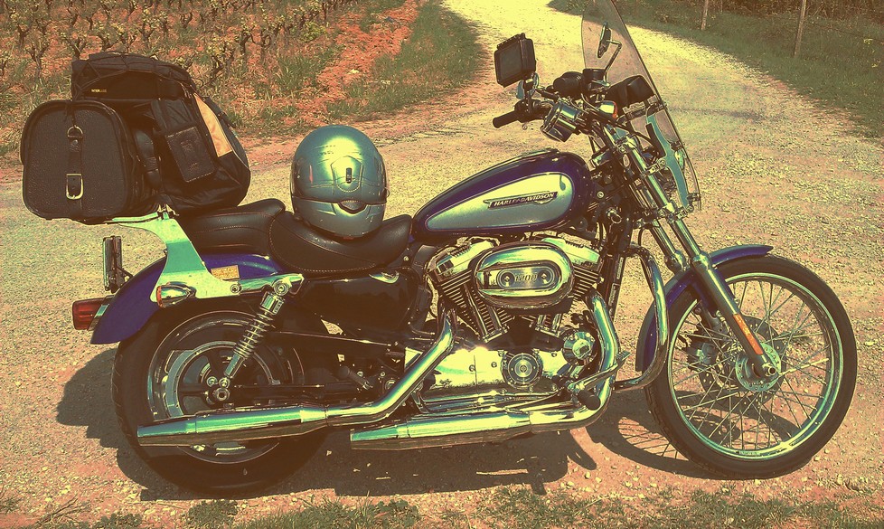 sportster